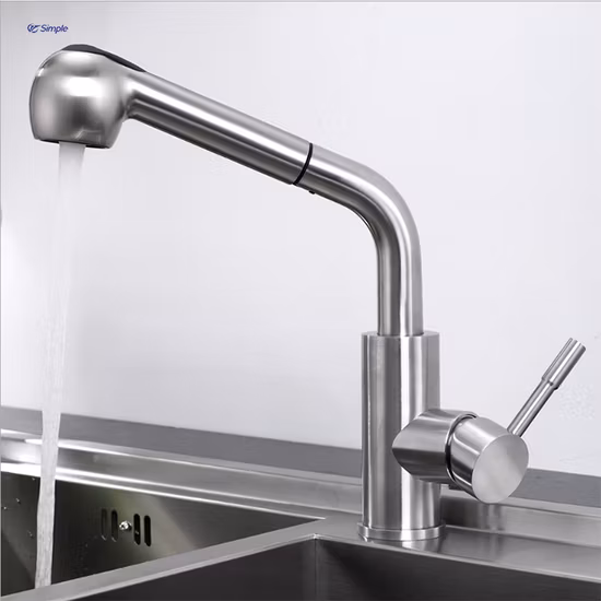 Sairi Double Holes 304 Stainless Steel Single Handle Hot and Cold Water Mixer Tap Wall Mounted Kitchen Faucet