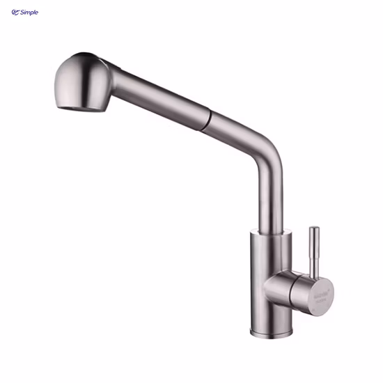 Sairi Double Holes 304 Stainless Steel Single Handle Hot and Cold Water Mixer Tap Wall Mounted Kitchen Faucet
