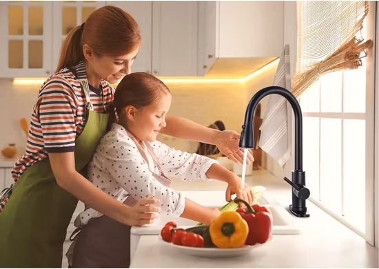 Luxury Matte Black Kitchen Sink Faucet with Pull Down Sprayer