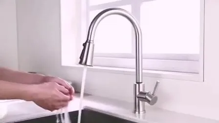 304 Stinless Steel Sinks Mixer Water Faucet Tap Manufacturer Single Handle Lever Pre-Rinse Spring Pull out Kitchen Sink Faucet Taps with Pull-Down Sprayer