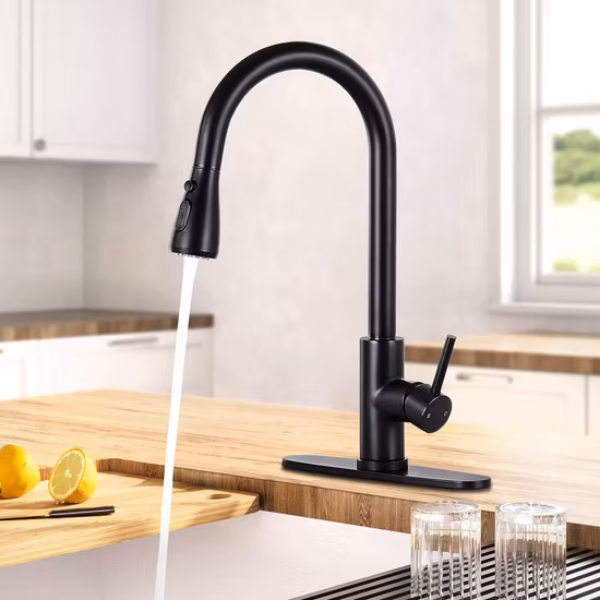 Luxury Matte Black Kitchen Sink Faucet with Pull Down Sprayer