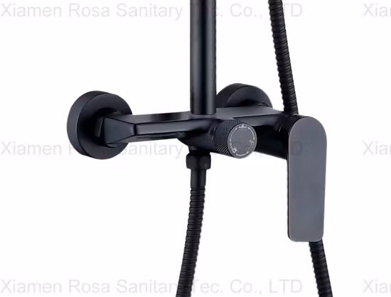Manufacture High Quality Hand Shower Head with More Functions