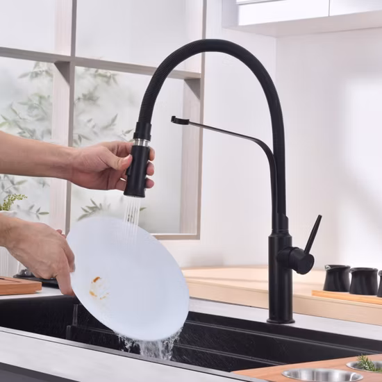 Solid Brass Pull-out Kitchen Sink Faucet